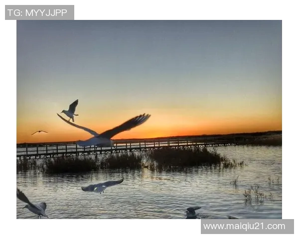 实时新闻全国街舞大赛特别报道深圳极限运动队拼搏历程与梦想追逐的故事